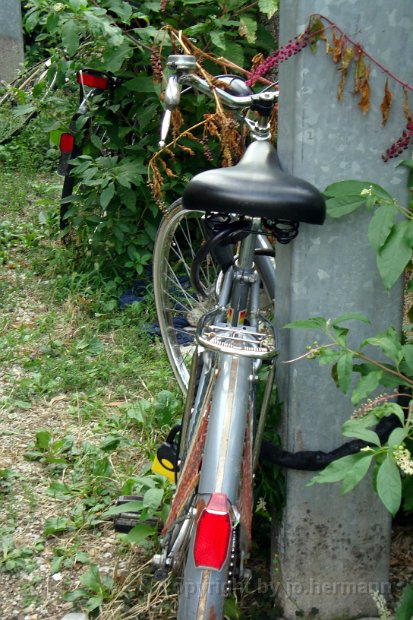 Biciclette a Udine - 023